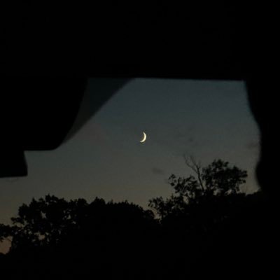 twinktoeaudios's profile picture