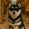 Profilbild von manyu
