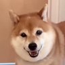 ららら profil fotoğrafı