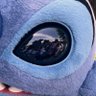 fu( ¨̮⋆'s profile picture