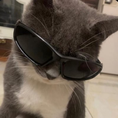 highevery1's profile picture