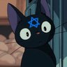 עדי (Adi)'s profile picture