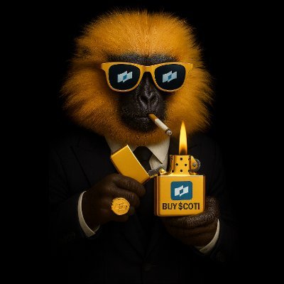 WhaleMovesOnly's profile picture