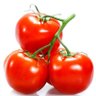 Tomato 的头像