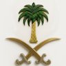 Profilbild von سعوديه بكل فخر🇸🇦🇸🇦