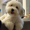 Profilbild von Francis