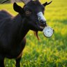 Profilbild von RUBTUB