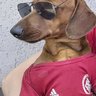 Profilbild von venancio