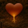 Random Heart 的头像
