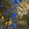 Фото профиля تركي السالمي