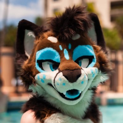 Kyte's profile picture