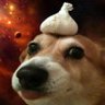 Profilbild von Perrito cósmico