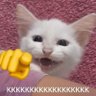 terapeuta desocupacional's profile picture