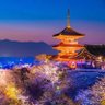 Фото профиля 蒼天のトラ王