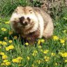Profilbild von 山木屋