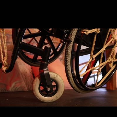 WheelsnToys's profile picture