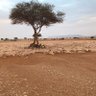 Фото профиля عربيّ🇸🇦