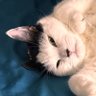 Jer banana profil fotoğrafı