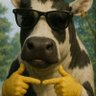 Elchicovaca profil fotoğrafı