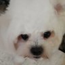 Profilbild von Marlyn