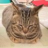 M a y's profile picture