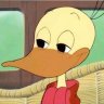 Shaltiel-Quack profil fotoğrafı