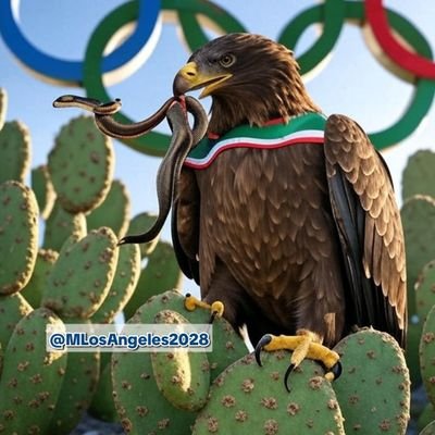 Fan México 🇲🇽 rumbo a LA2028's profile picture