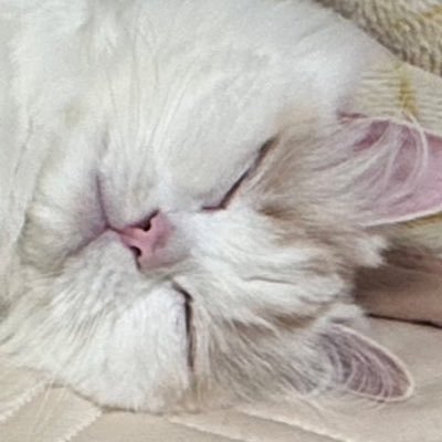 kutqbqre's profile picture