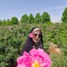 Profilbild von مهرنگ