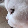 Фото профиля ท่านชิน