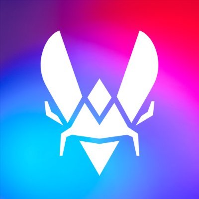 TeamVitalityVAL's profile picture