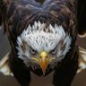Ugwu Henry profil fotoğrafı