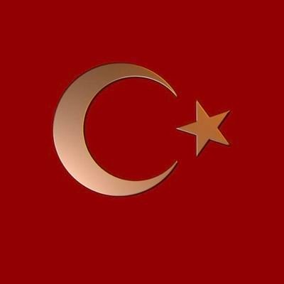 Ahmet Alparslan Rufai's profile picture