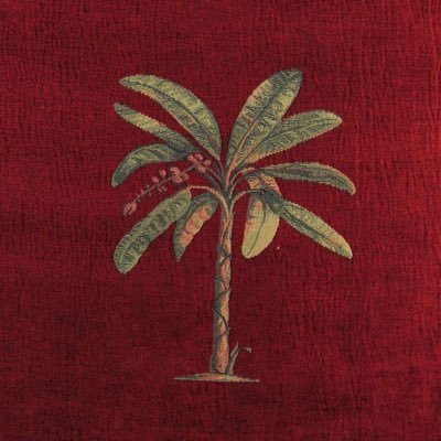 Raghad_cl's profile picture