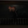 Foxy's profile picture