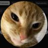 Nobody profil fotoğrafı