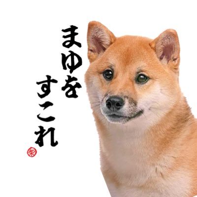 hamari_inu's profile picture