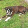 Boxers58 🧜🧚♂️ profil fotoğrafı