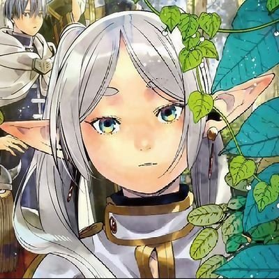 FRIEREN_FESS's profile picture