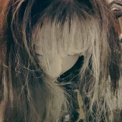 クリームプール's profile picture