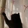 cooljin profil fotoğrafı