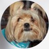 Profilbild von tony