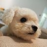 Jiale's profile picture