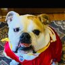 Greg Alejos's profile picture