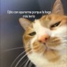 Katty pellas profil fotoğrafı