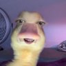 Alexis Rose's profile picture