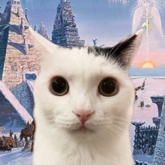 laziolabubu's profile picture