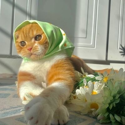 hüzün çiçeği's profile picture