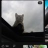 Carmen Vichot profil fotoğrafı