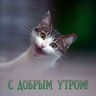 Катя 的头像